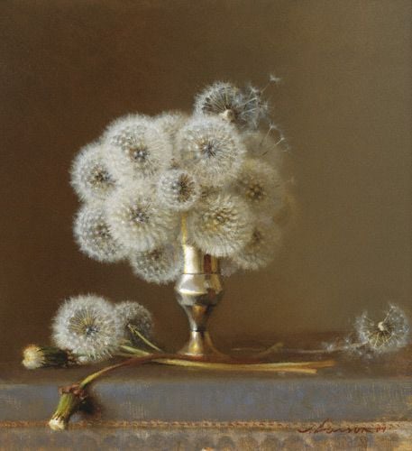 117334745_10158803728807235_8643129359019170732_n