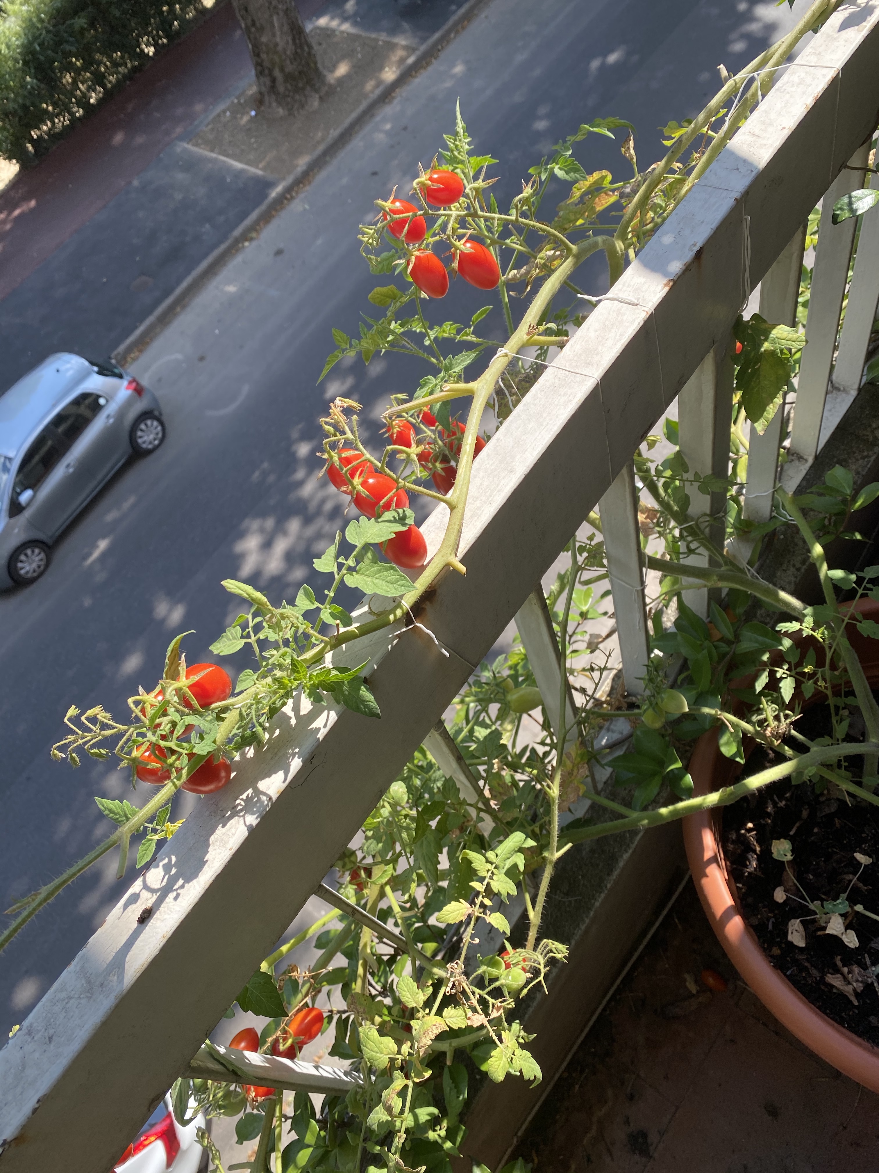 su0F8Ek5RY6OHnSuLV2fjA