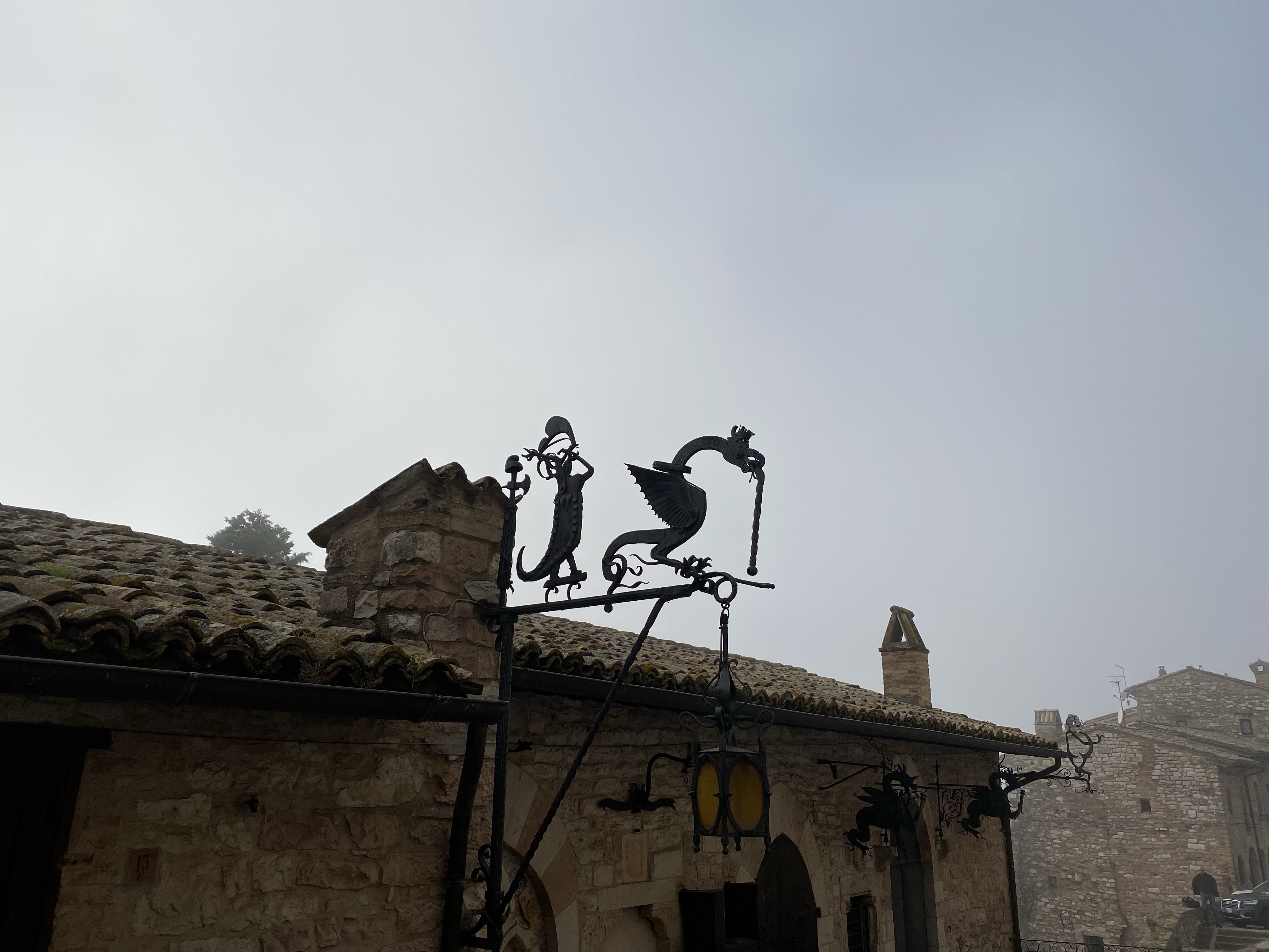 Assisi this winter | get back, lauretta!